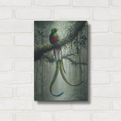 Luxe Metal Art 'Resplendent Quetzal 2' by Harro Maass, Metal Wall Art,12x16