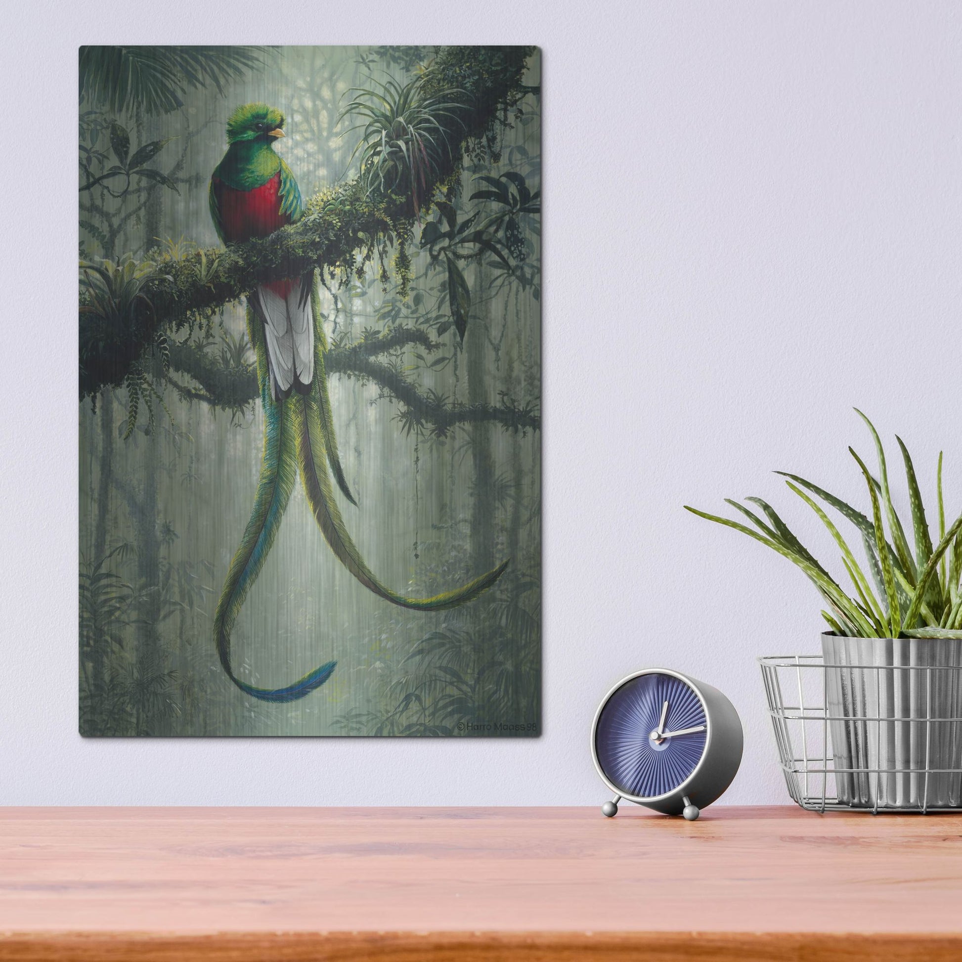 Luxe Metal Art 'Resplendent Quetzal 2' by Harro Maass, Metal Wall Art,12x16