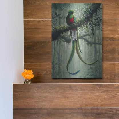 Luxe Metal Art 'Resplendent Quetzal 2' by Harro Maass, Metal Wall Art,12x16