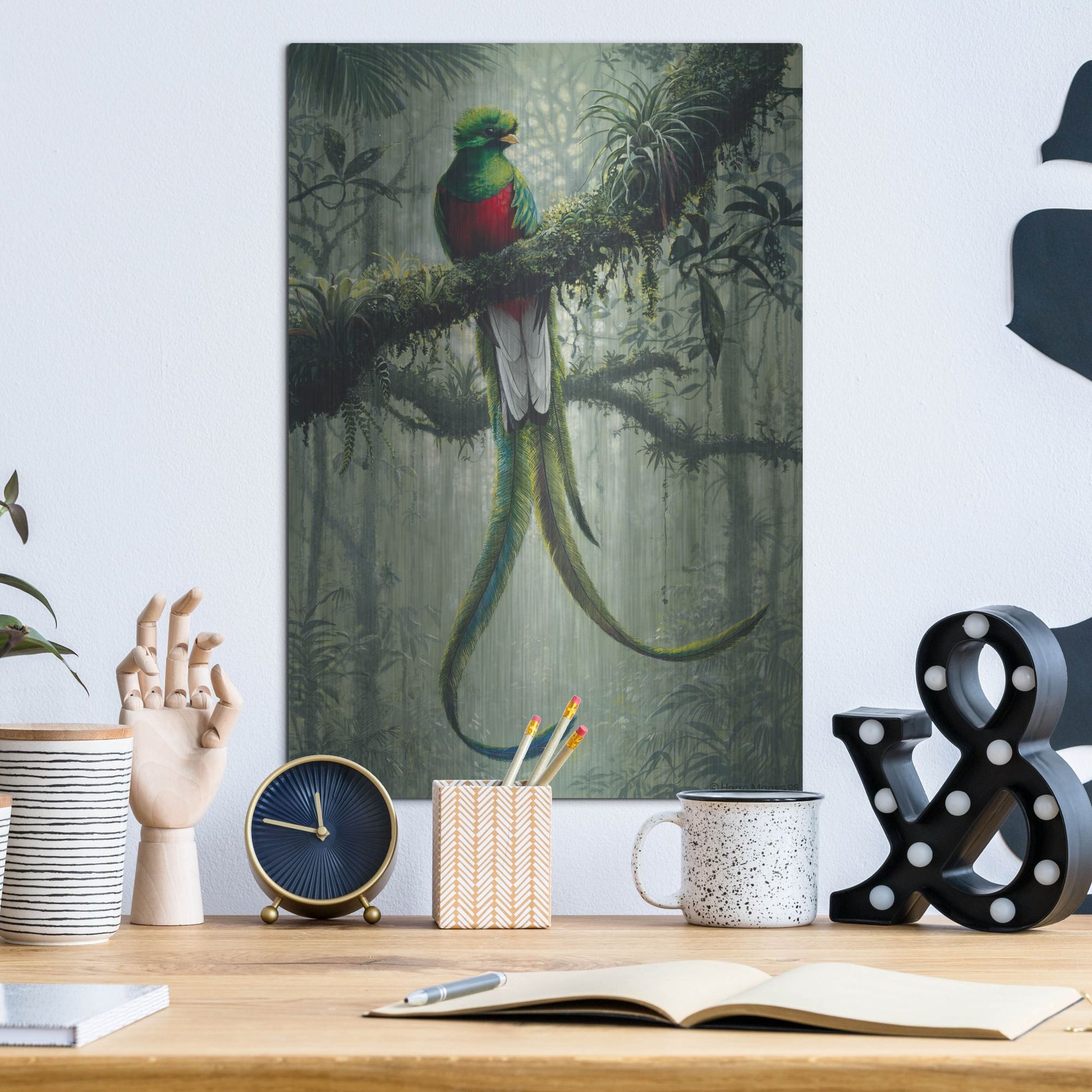 Luxe Metal Art 'Resplendent Quetzal 2' by Harro Maass, Metal Wall Art,12x16