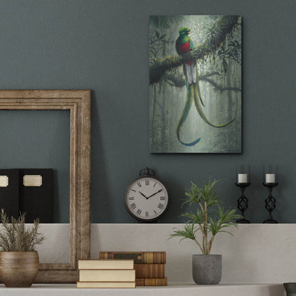 Luxe Metal Art 'Resplendent Quetzal 2' by Harro Maass, Metal Wall Art,12x16