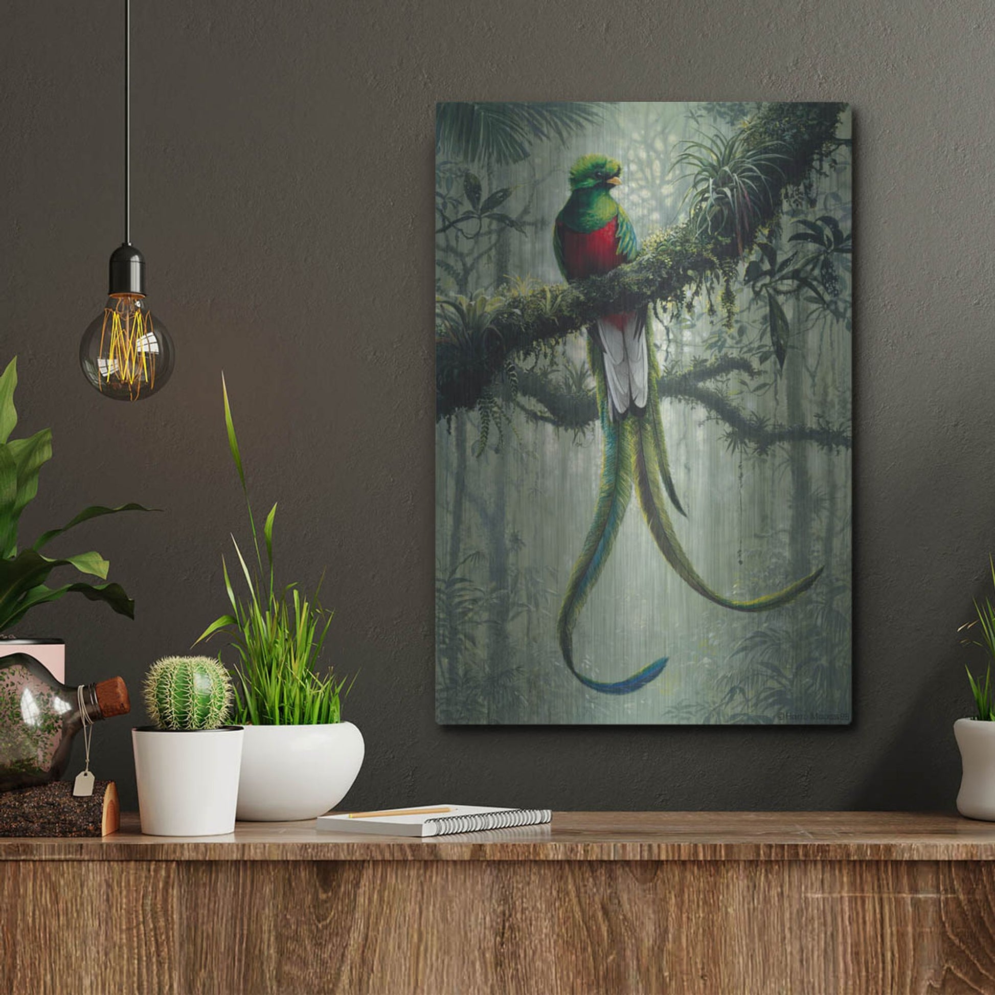 Luxe Metal Art 'Resplendent Quetzal 2' by Harro Maass, Metal Wall Art,12x16
