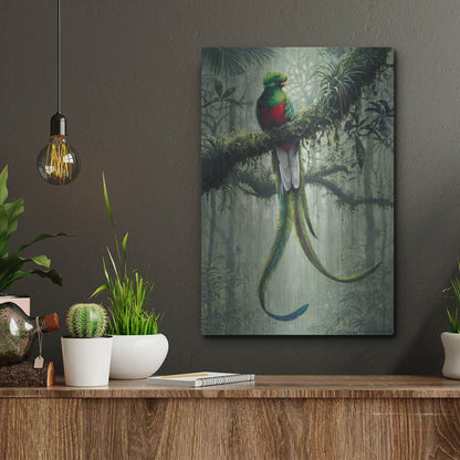 Luxe Metal Art 'Resplendent Quetzal 2' by Harro Maass, Metal Wall Art,12x16