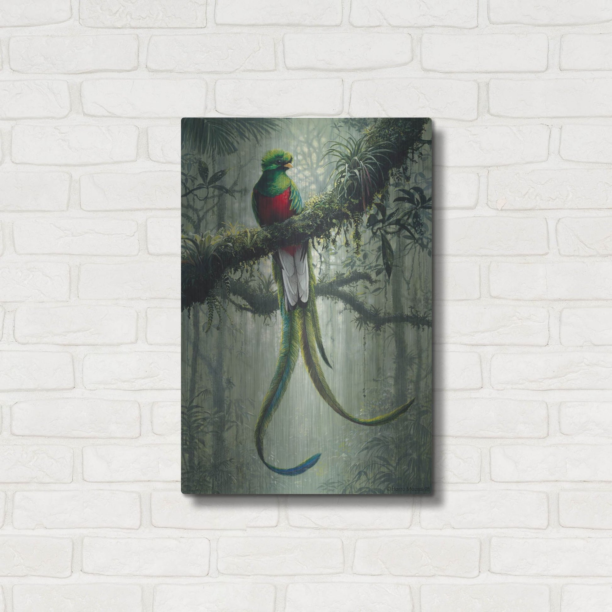 Luxe Metal Art 'Resplendent Quetzal 2' by Harro Maass, Metal Wall Art,16x24