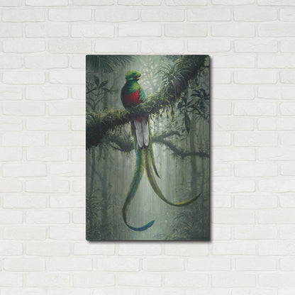Luxe Metal Art 'Resplendent Quetzal 2' by Harro Maass, Metal Wall Art,24x36