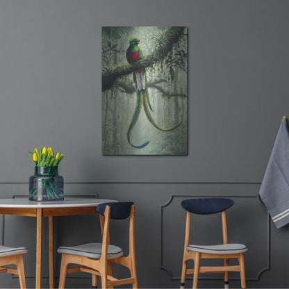 Luxe Metal Art 'Resplendent Quetzal 2' by Harro Maass, Metal Wall Art,24x36