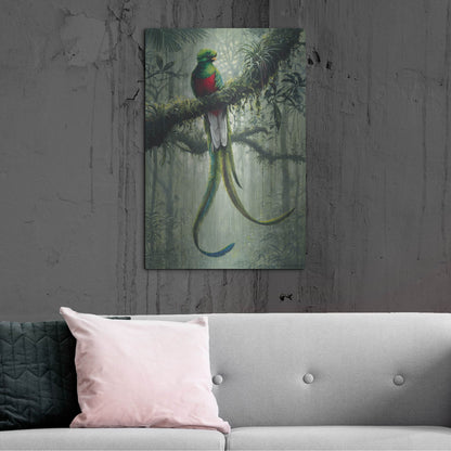 Luxe Metal Art 'Resplendent Quetzal 2' by Harro Maass, Metal Wall Art,24x36