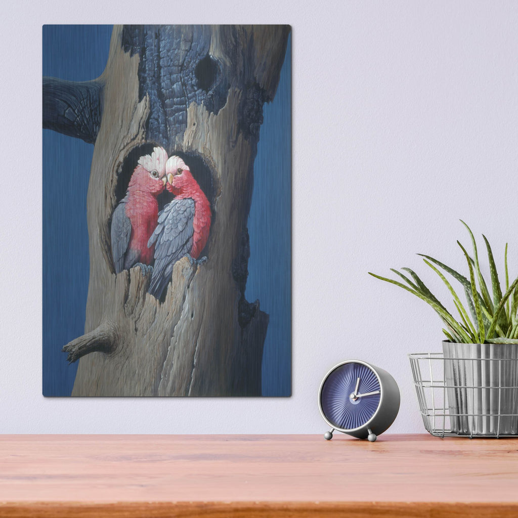 Luxe Metal Art 'Rosa Kakadu' by Harro Maass, Metal Wall Art,12x16