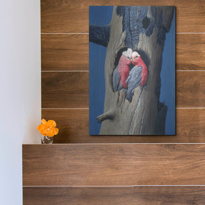 Luxe Metal Art 'Rosa Kakadu' by Harro Maass, Metal Wall Art,12x16