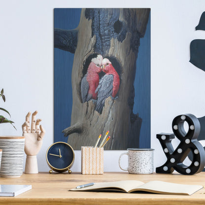 Luxe Metal Art 'Rosa Kakadu' by Harro Maass, Metal Wall Art,12x16