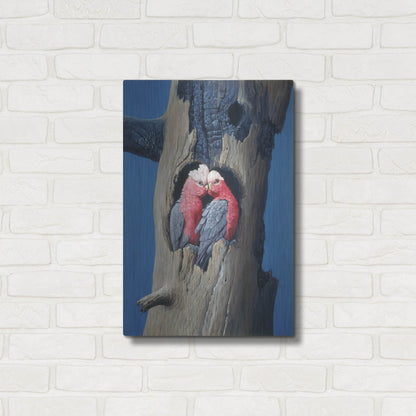 Luxe Metal Art 'Rosa Kakadu' by Harro Maass, Metal Wall Art,16x24