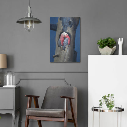 Luxe Metal Art 'Rosa Kakadu' by Harro Maass, Metal Wall Art,16x24