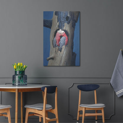 Luxe Metal Art 'Rosa Kakadu' by Harro Maass, Metal Wall Art,24x36