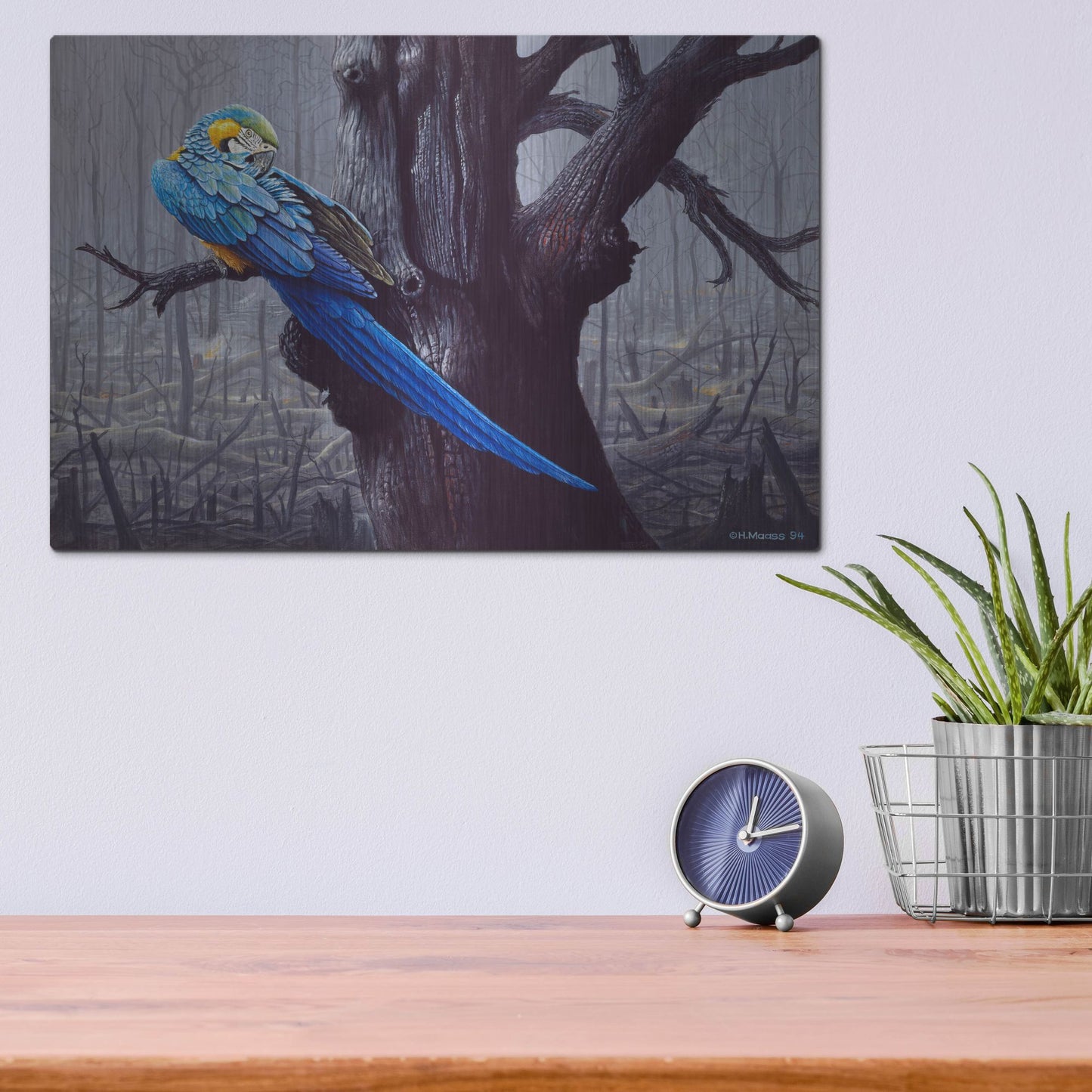 Luxe Metal Art 'Blue And Yellow Macaw In Burned Forest' by Harro Maass, Metal Wall Art,16x12