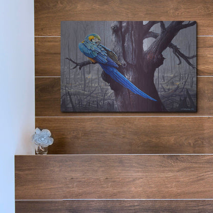 Luxe Metal Art 'Blue And Yellow Macaw In Burned Forest' by Harro Maass, Metal Wall Art,16x12