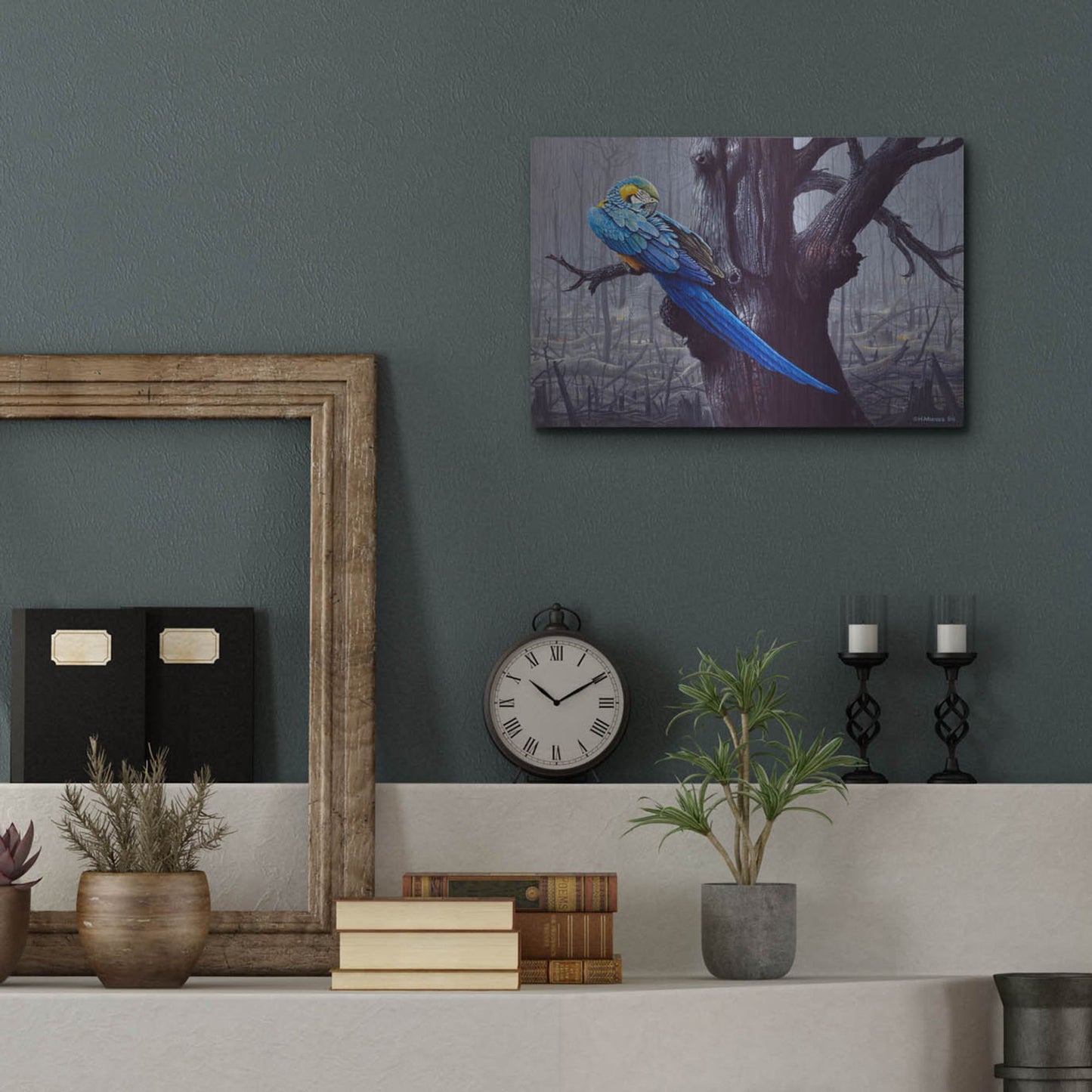 Luxe Metal Art 'Blue And Yellow Macaw In Burned Forest' by Harro Maass, Metal Wall Art,16x12