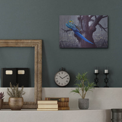 Luxe Metal Art 'Blue And Yellow Macaw In Burned Forest' by Harro Maass, Metal Wall Art,16x12