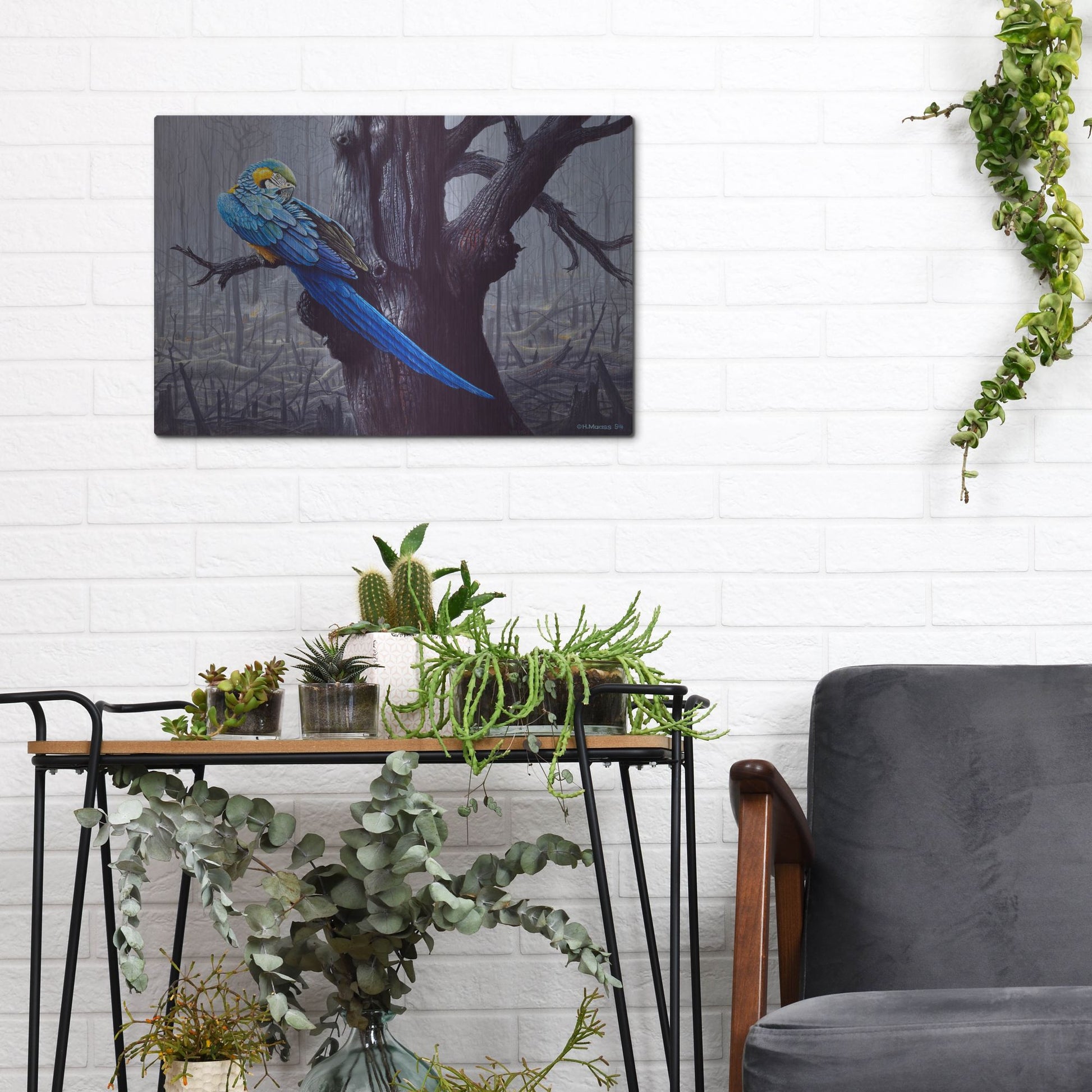 Luxe Metal Art 'Blue And Yellow Macaw In Burned Forest' by Harro Maass, Metal Wall Art,16x12