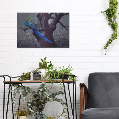 Luxe Metal Art 'Blue And Yellow Macaw In Burned Forest' by Harro Maass, Metal Wall Art,16x12