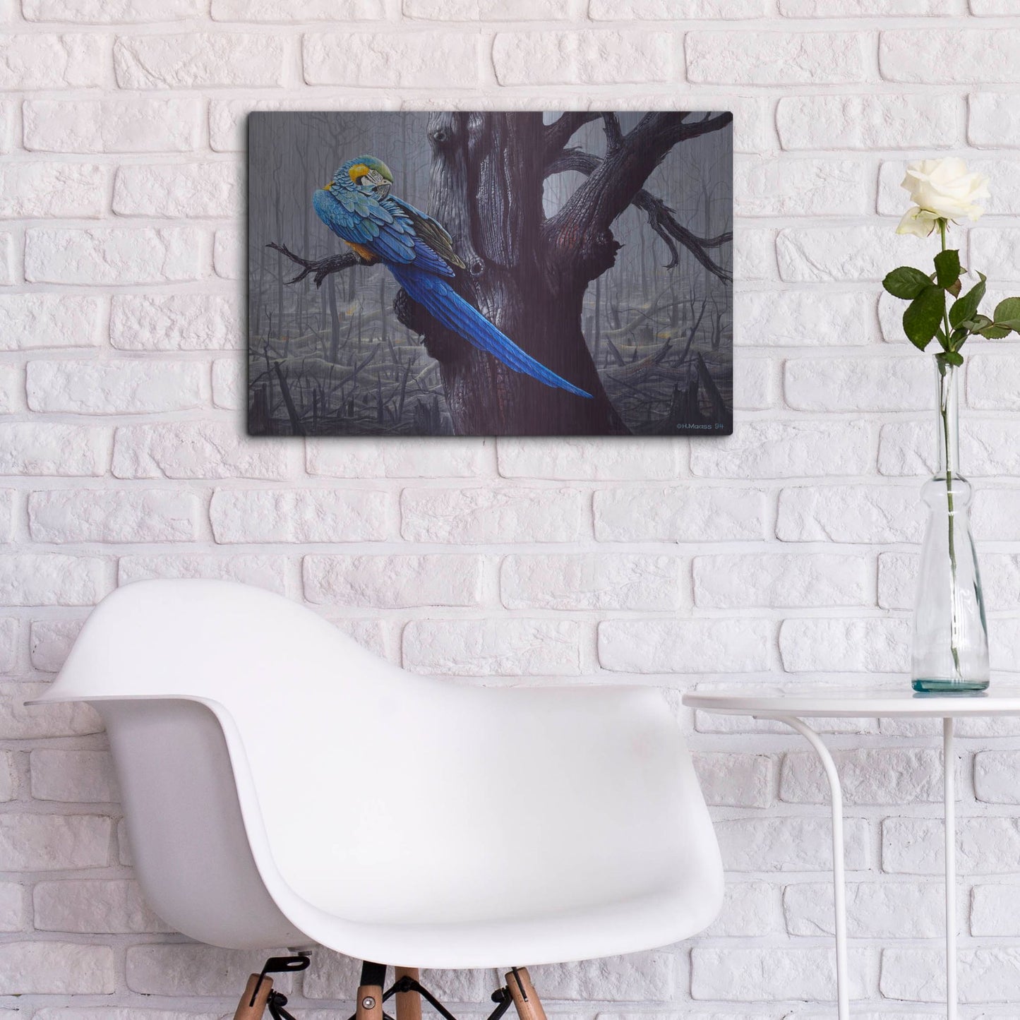Luxe Metal Art 'Blue And Yellow Macaw In Burned Forest' by Harro Maass, Metal Wall Art,24x16
