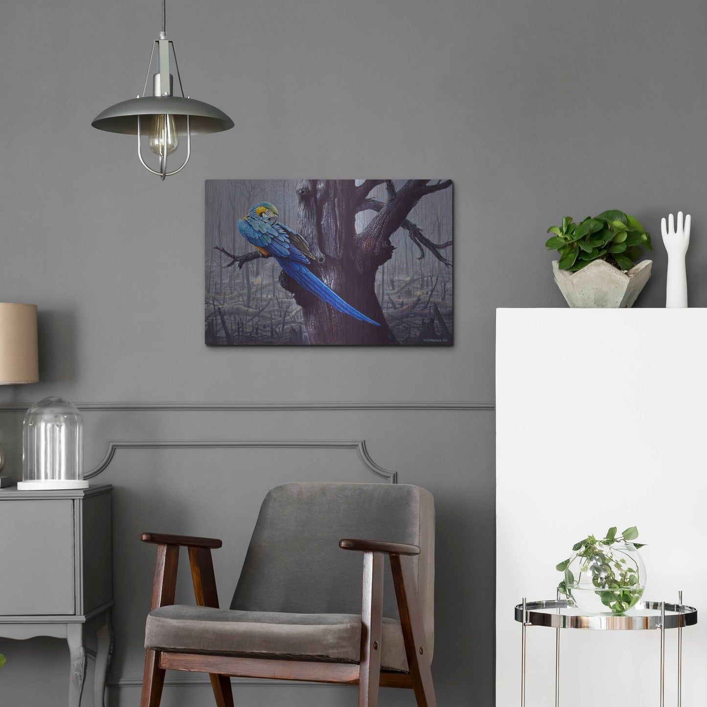 Luxe Metal Art 'Blue And Yellow Macaw In Burned Forest' by Harro Maass, Metal Wall Art,24x16