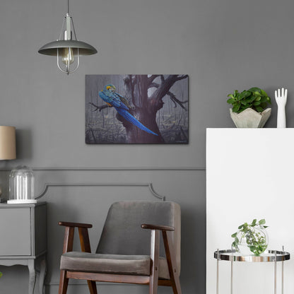 Luxe Metal Art 'Blue And Yellow Macaw In Burned Forest' by Harro Maass, Metal Wall Art,24x16