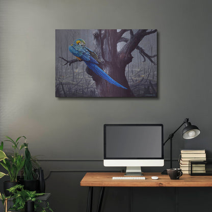 Luxe Metal Art 'Blue And Yellow Macaw In Burned Forest' by Harro Maass, Metal Wall Art,36x24
