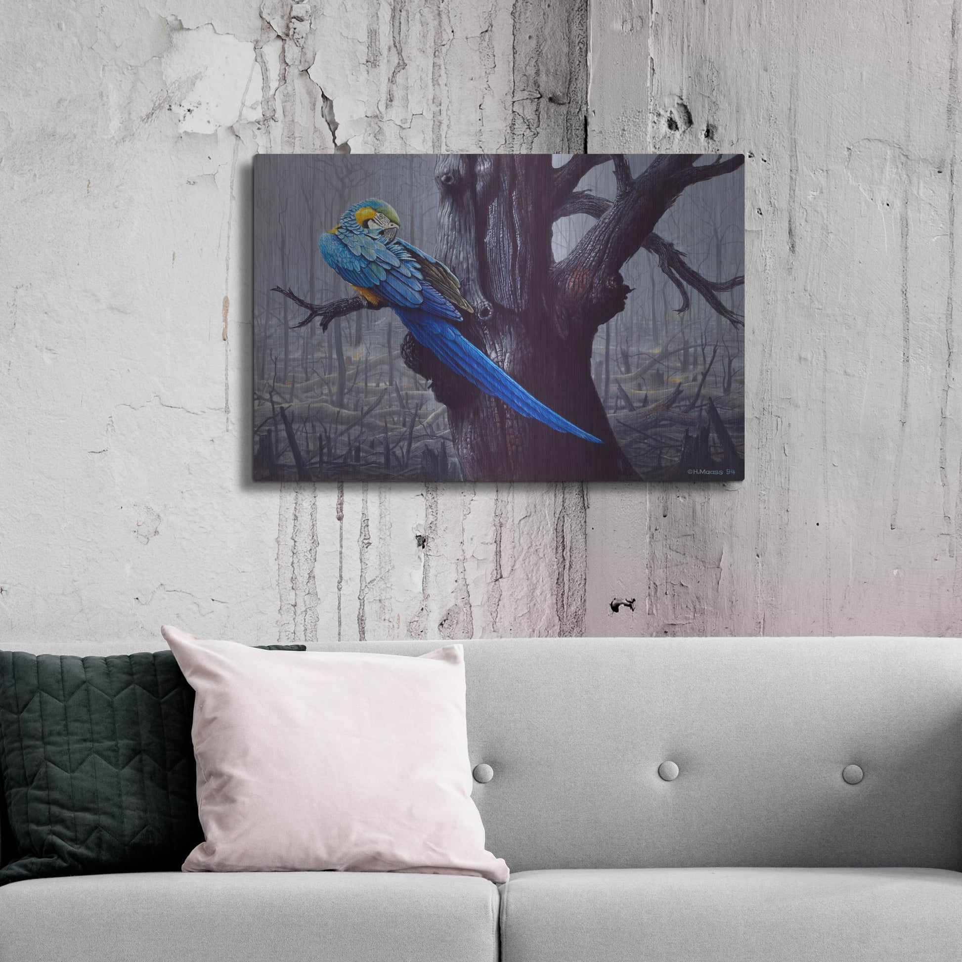 Luxe Metal Art 'Blue And Yellow Macaw In Burned Forest' by Harro Maass, Metal Wall Art,36x24