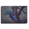 Luxe Metal Art 'Blue And Yellow Macaw In Burned Forest' by Harro Maass, Metal Wall Art