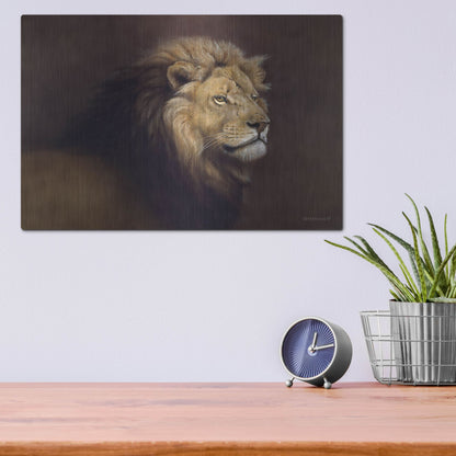 Luxe Metal Art 'Lion Male' by Harro Maass, Metal Wall Art,16x12