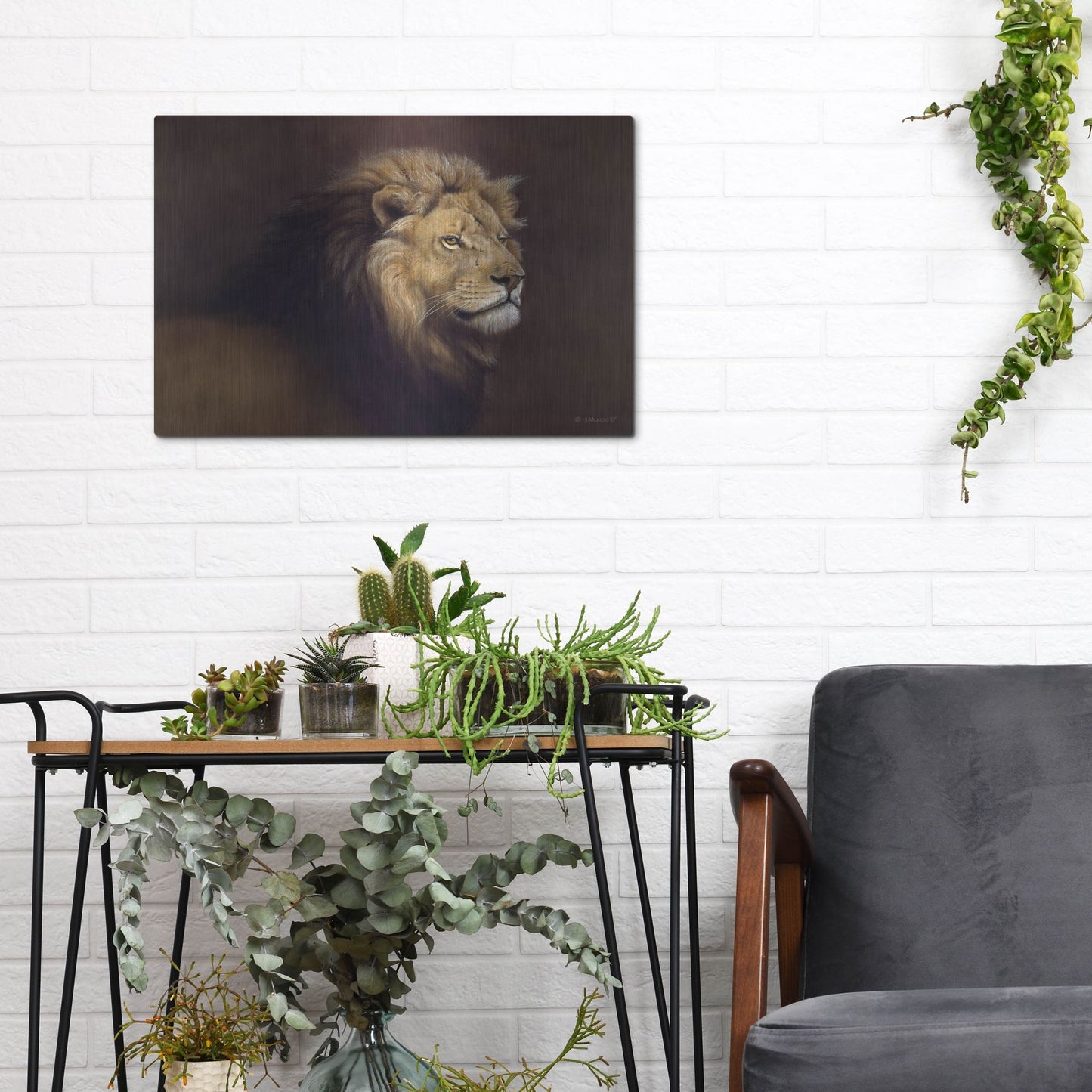 Luxe Metal Art 'Lion Male' by Harro Maass, Metal Wall Art,16x12