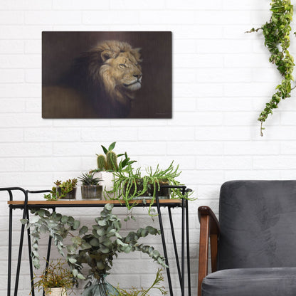 Luxe Metal Art 'Lion Male' by Harro Maass, Metal Wall Art,16x12