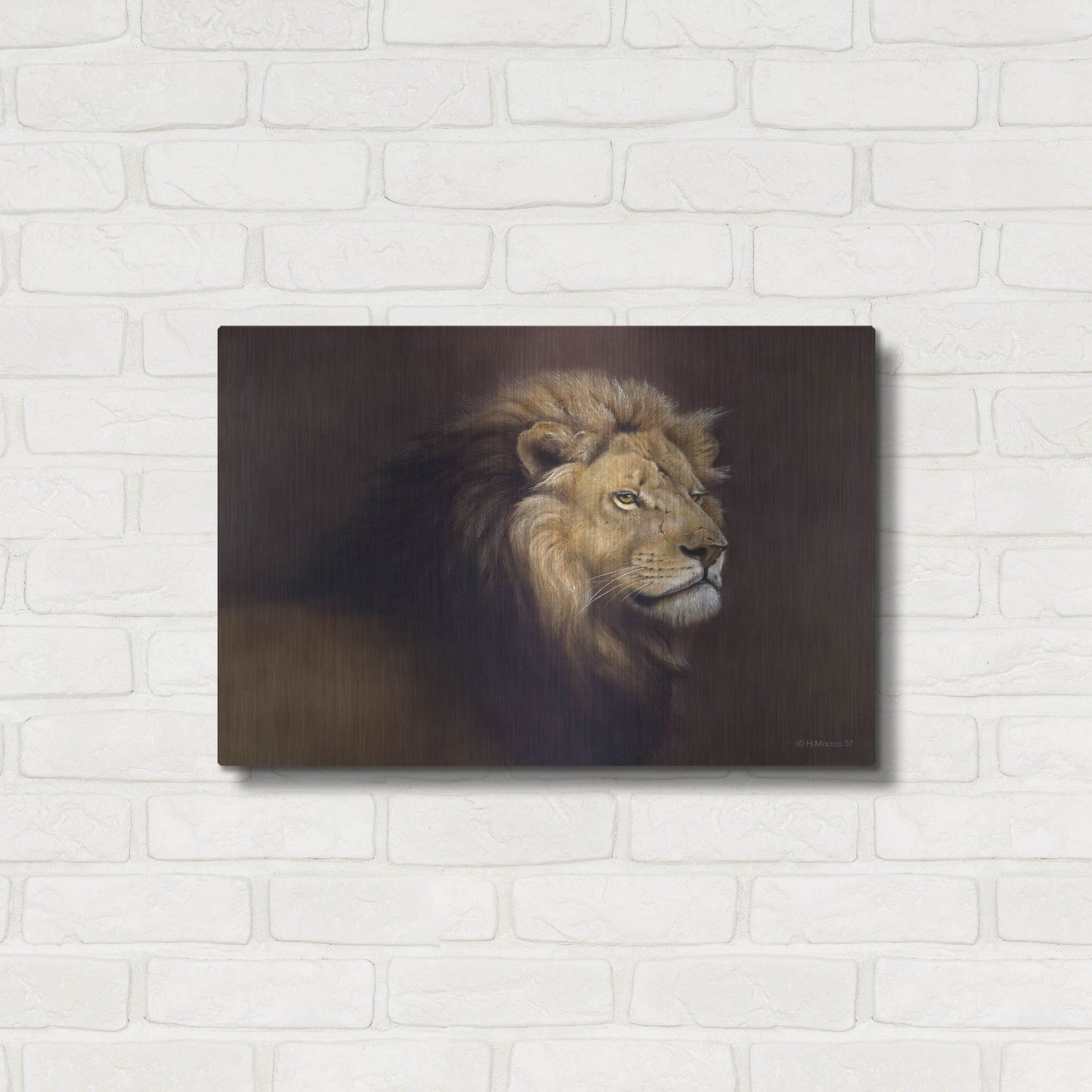 Luxe Metal Art 'Lion Male' by Harro Maass, Metal Wall Art,24x16