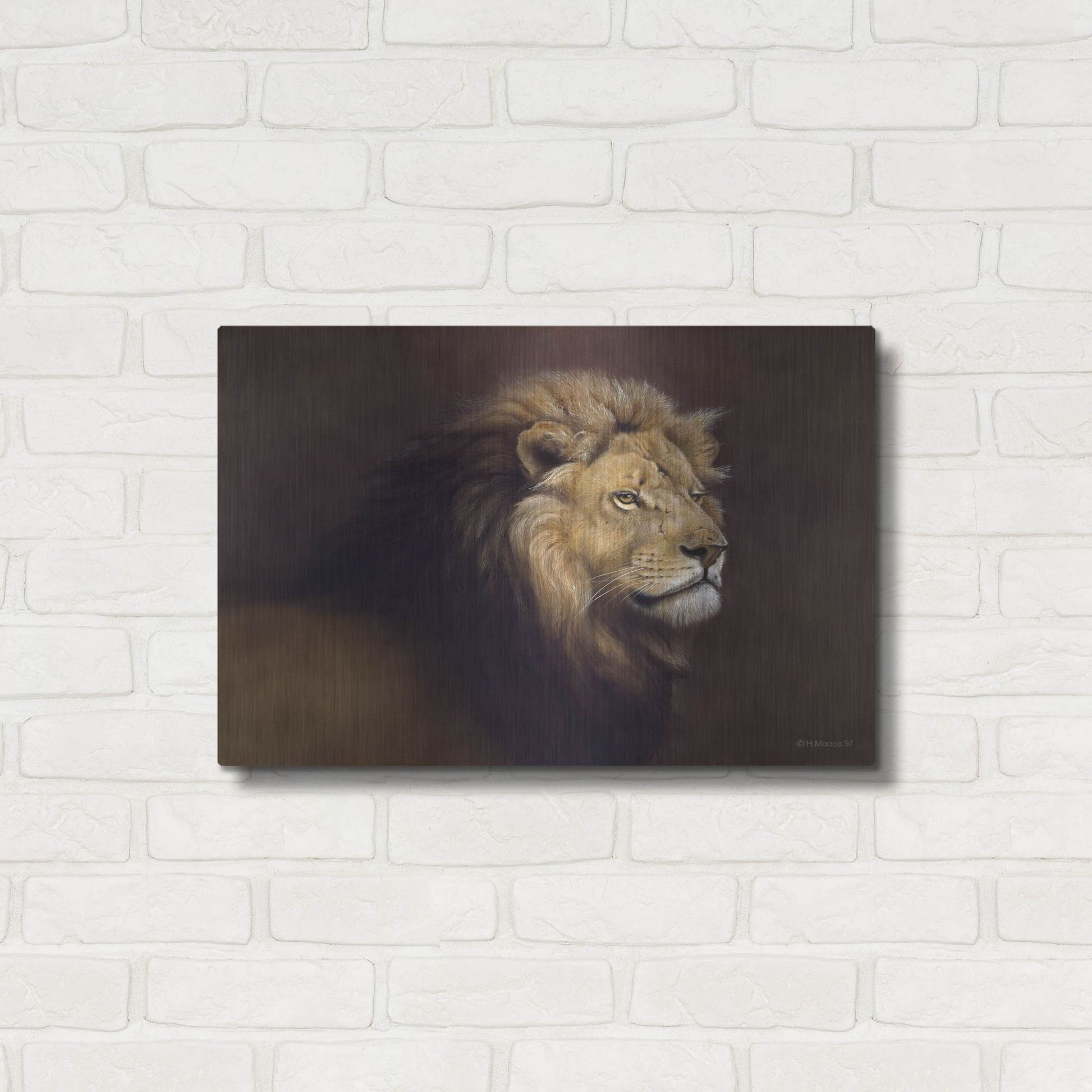 Luxe Metal Art 'Lion Male' by Harro Maass, Metal Wall Art,24x16