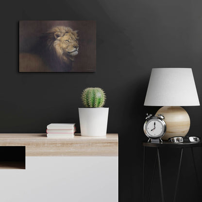 Luxe Metal Art 'Lion Male' by Harro Maass, Metal Wall Art,24x16