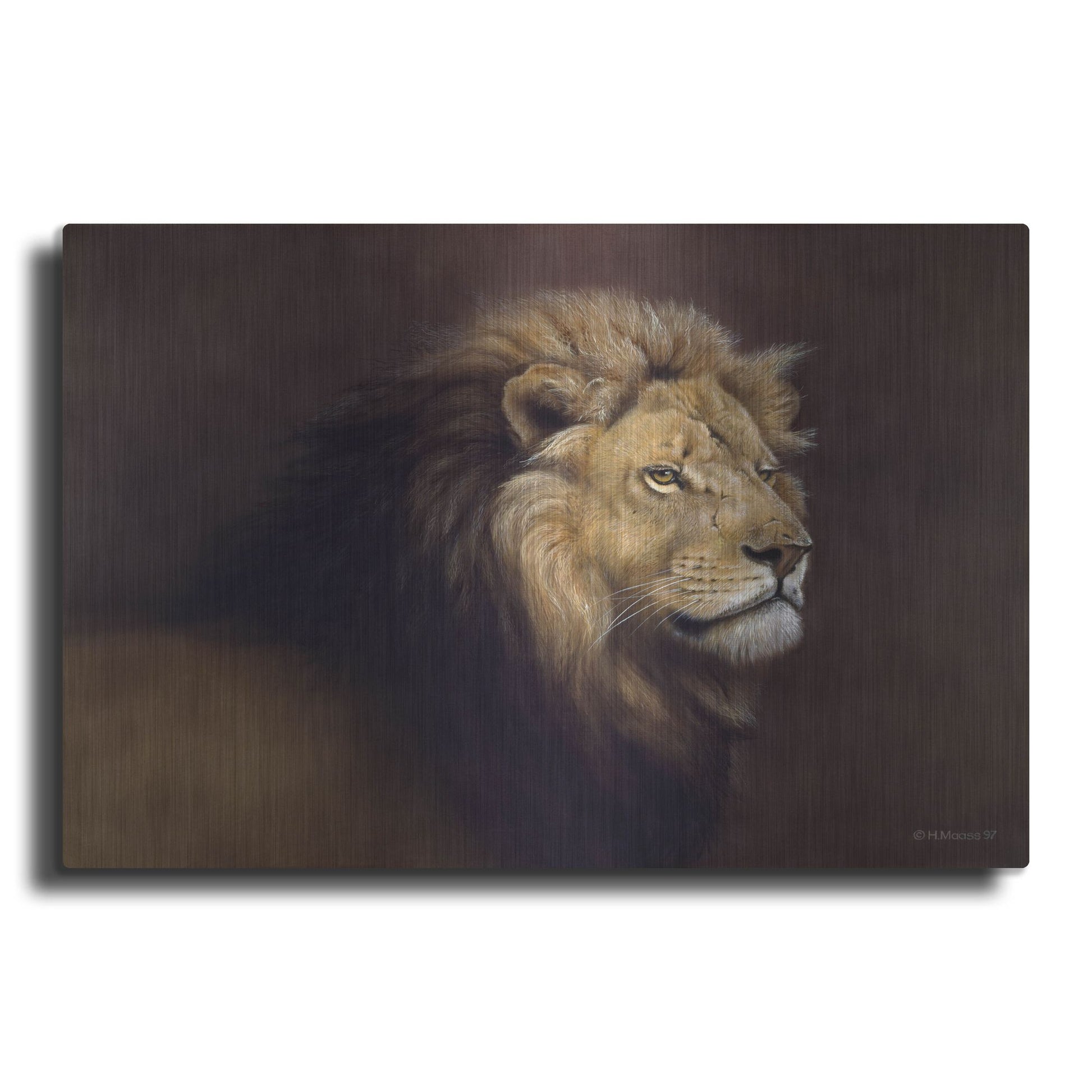 Luxe Metal Art 'Lion Male' by Harro Maass, Metal Wall Art