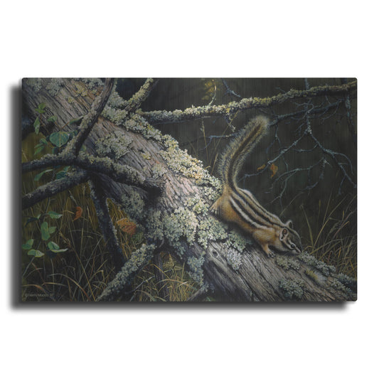 Luxe Metal Art 'Eastern Chipmunk' by Harro Maass, Metal Wall Art