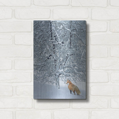 Luxe Metal Art 'Fox In Snow' by Harro Maass, Metal Wall Art,12x16