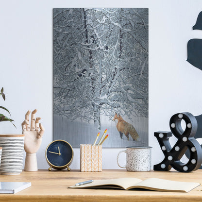 Luxe Metal Art 'Fox In Snow' by Harro Maass, Metal Wall Art,12x16