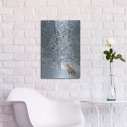 Luxe Metal Art 'Fox In Snow' by Harro Maass, Metal Wall Art,16x24