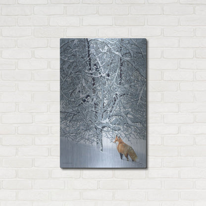 Luxe Metal Art 'Fox In Snow' by Harro Maass, Metal Wall Art,24x36