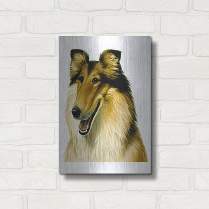 Luxe Metal Art 'Smiling Colli' by Harro Maass, Metal Wall Art,12x16
