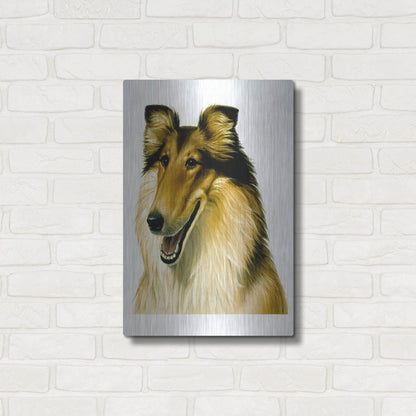 Luxe Metal Art 'Smiling Colli' by Harro Maass, Metal Wall Art,16x24