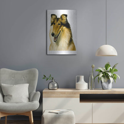 Luxe Metal Art 'Smiling Colli' by Harro Maass, Metal Wall Art,16x24