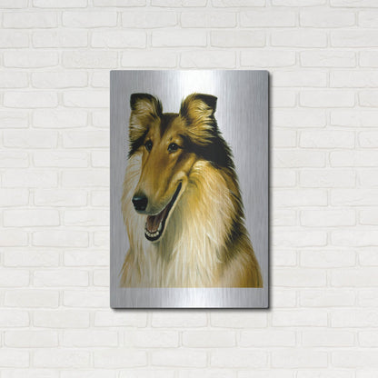 Luxe Metal Art 'Smiling Colli' by Harro Maass, Metal Wall Art,24x36