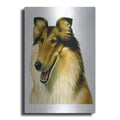 Luxe Metal Art 'Smiling Colli' by Harro Maass, Metal Wall Art