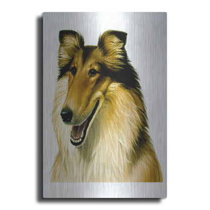 Luxe Metal Art 'Smiling Colli' by Harro Maass, Metal Wall Art