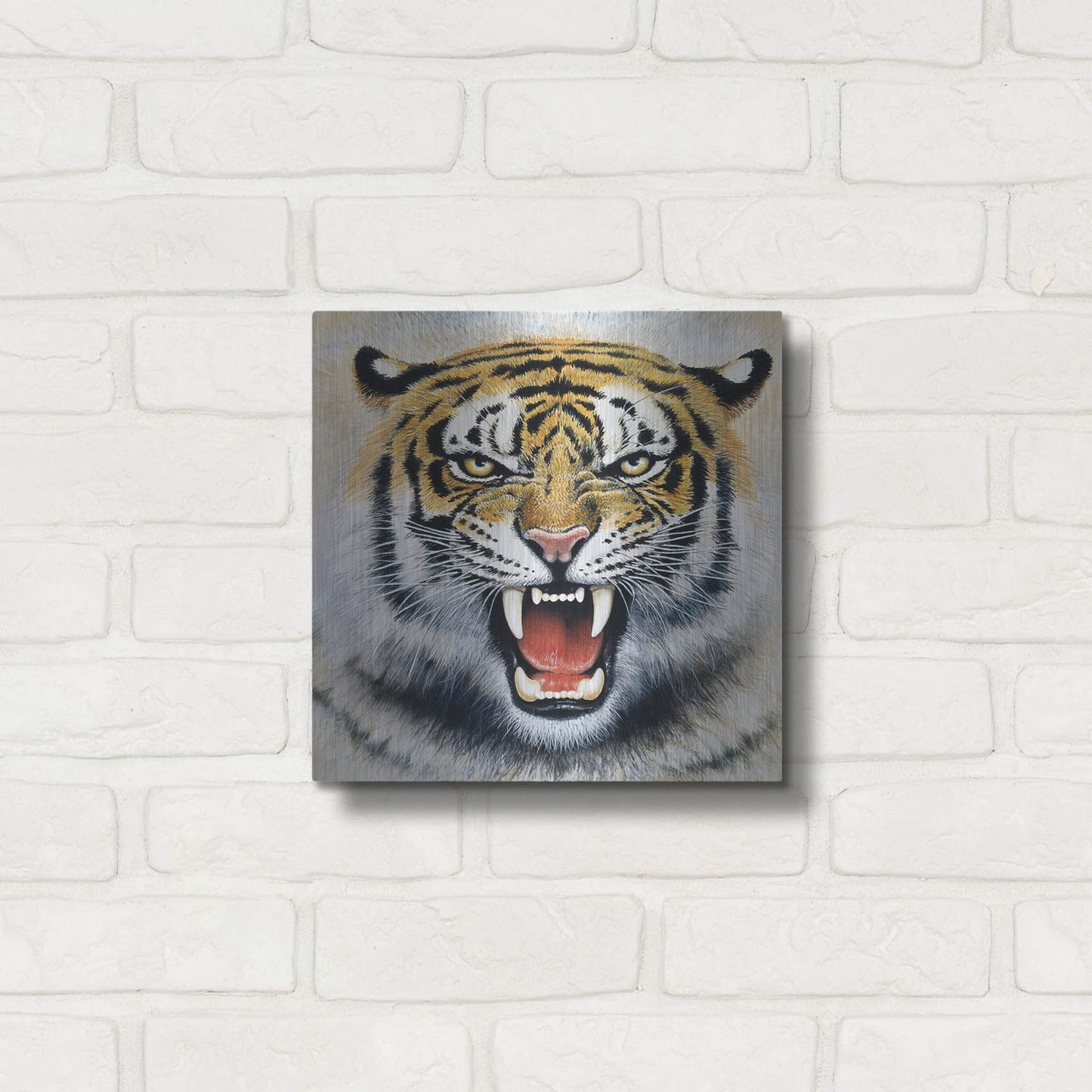 Luxe Metal Art 'Tiger' by Harro Maass, Metal Wall Art,12x12