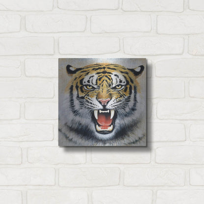 Luxe Metal Art 'Tiger' by Harro Maass, Metal Wall Art,12x12