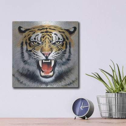 Luxe Metal Art 'Tiger' by Harro Maass, Metal Wall Art,12x12